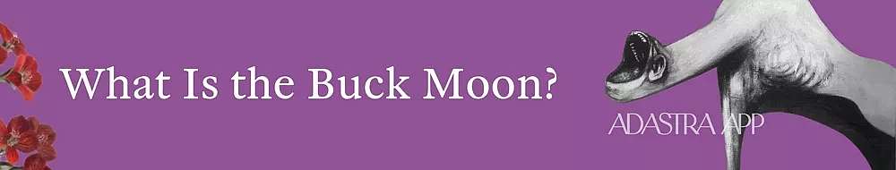 Buck Moon Spiritual Meaning