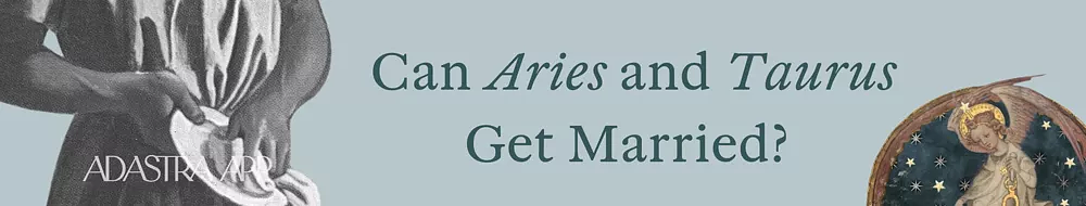 Zodiac signs compatibility horoscope