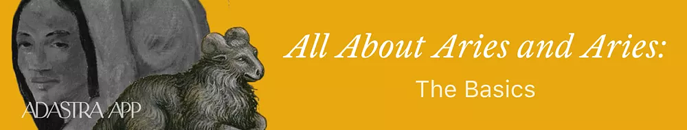 Zodiac signs and their love compatibility