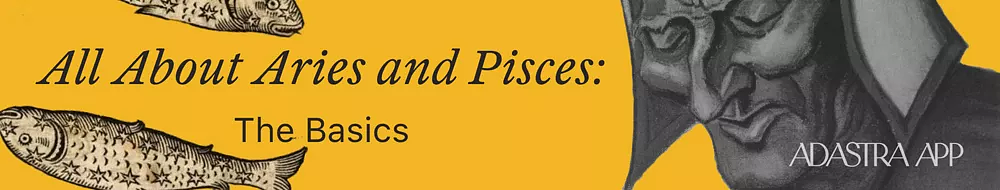 zodiac signs capricorn and pisces compatibility