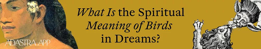 bird in a dream
