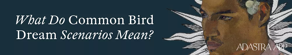 catching a bird in a dream