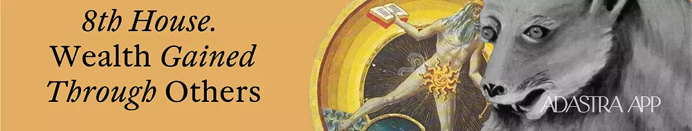wealth placements in astrology
